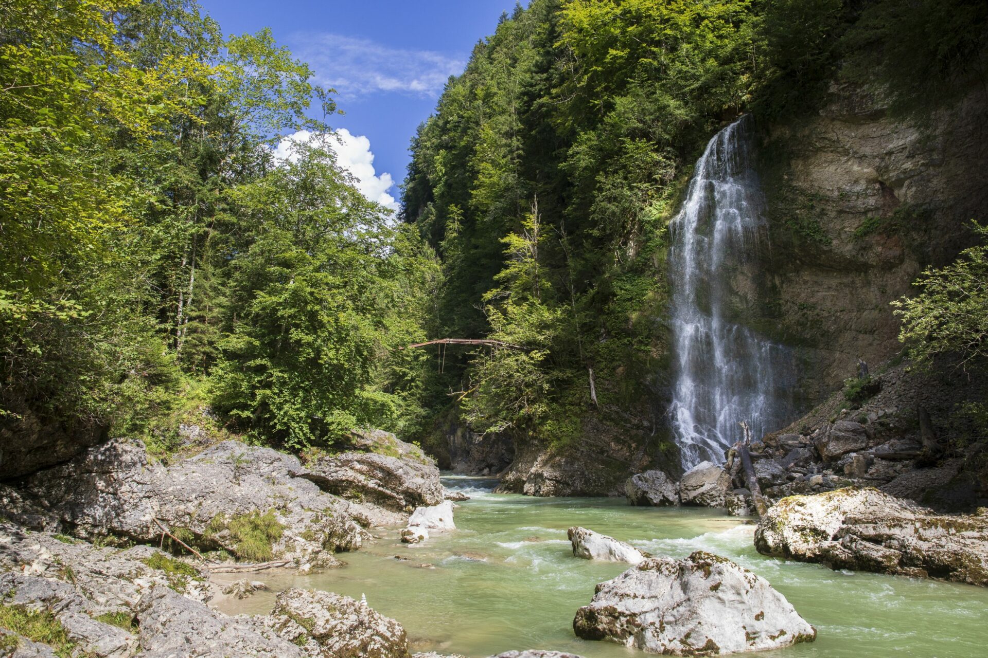 Ein malerischer Wasserfall inmitten eines üppigen Waldes.
