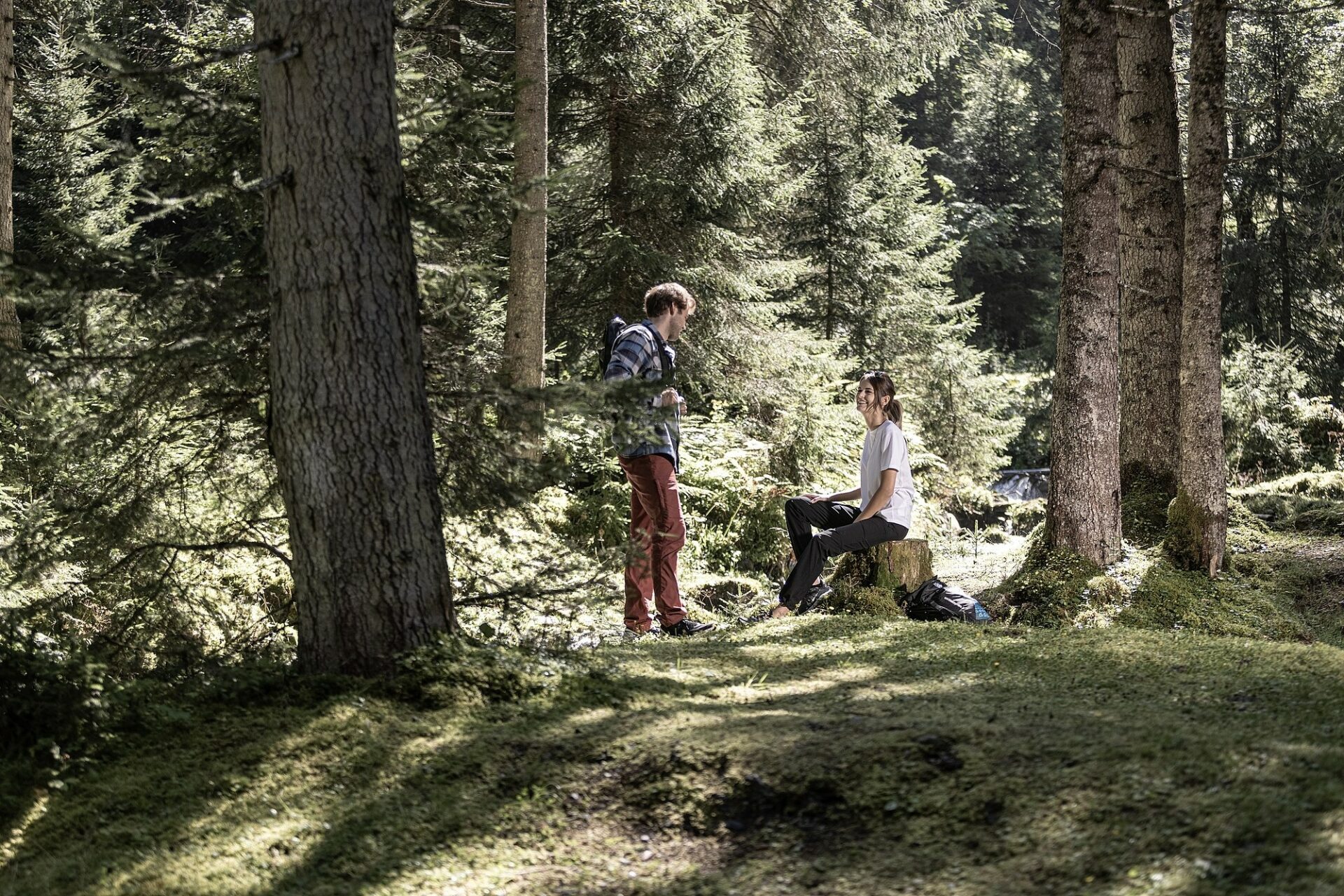 Zwei Personen genießen einen romantischen Kurzurlaub auf einem Baumstumpf in einem Waldgebiet.